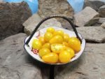 Honey Drop Cherry Tomato Heirloom Tomatoes