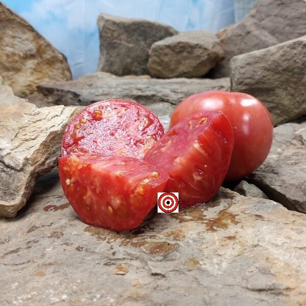 Hoskin's Barger Tomato