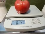 Hoskin's Barger Tomato Market Tomato