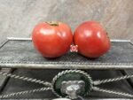 Hoskin's Barger Tomato Red tomato