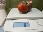 Indian Stripe Heart PL Tomato - Image 2