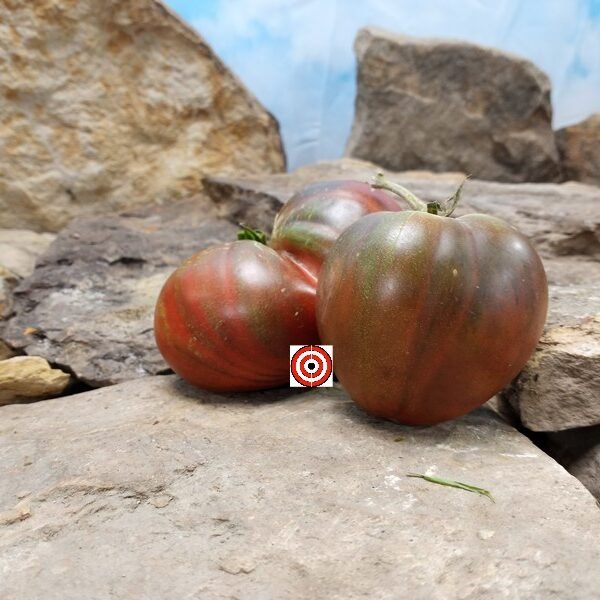 Indian Stripe Heart PL Tomato