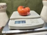 Italian Purple RL Tomato Heirloom Tomato