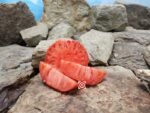 Italian Purple RL Tomato Sandwich Tomato
