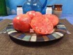Italian Purple RL Tomato Slicing Tomato