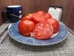 Jabucar Velika Plana Tomato Heirloom Tomato
