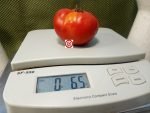Jabucar Velika Plana Tomato Red Tomato