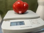 Jabucar Velika Plana Tomato Slicing tomato