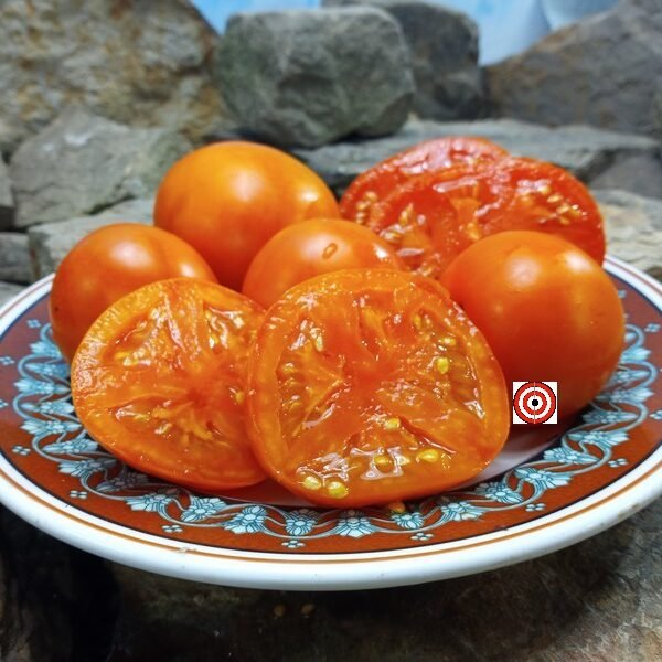 Jaune Flamme Tomato