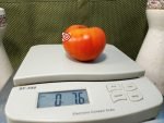 Jaune Flamme Tomato Heirloom Tomatoes