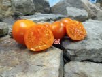 Jaune Flamme Tomato Seeds