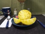 Judge White Tomato White Tomato