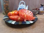 KC 146 Tomato Heirloom Tomato