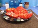 KC 146 Tomato Seeds