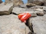 Kibic Tomato Seeds