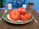 Lynn Of Jone's County Tomato