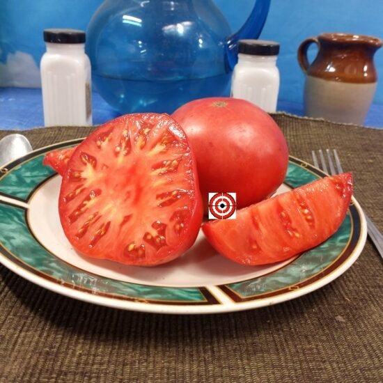Lynn Of Jone's County Tomato
