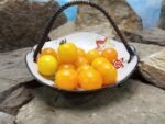 Nikolayev Yellow Cherry Tomato Market Tomato