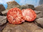Omar's Lebanese Tomato - Image 2