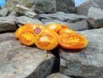 Orange Caprese Tomato Heirloom Tomato