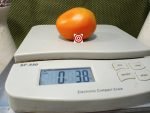 Orange Caprese Tomato Salad Tomato