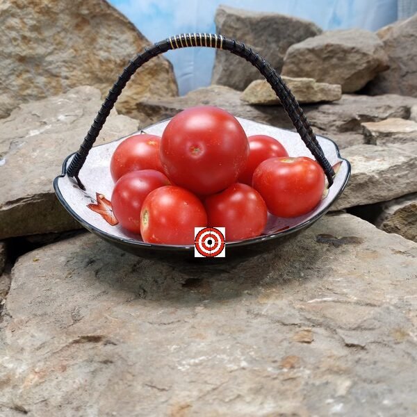 Oregon Eleven Tomato Salad Tomato