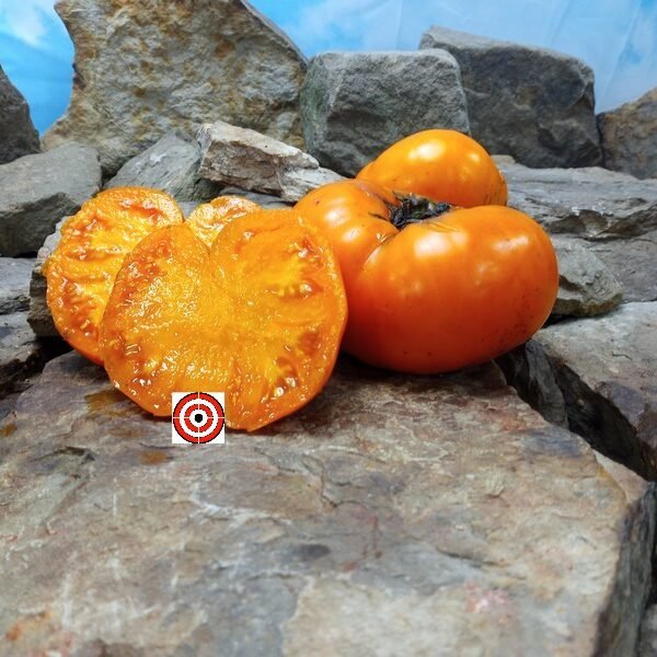 Orvols Yellow Giant Tomato Heirloom Tomato