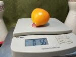 Pastel Orange Heart Tomato Seeds.