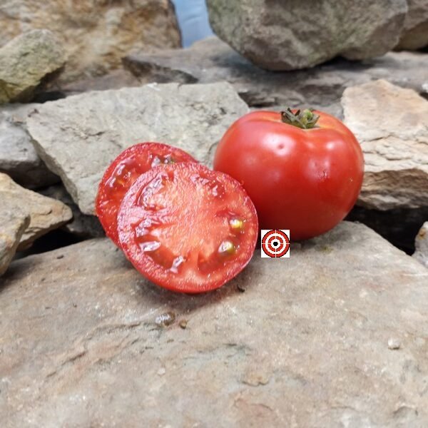 Pearl Harbor Tomato