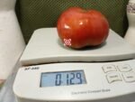 Peron Russet Tomato. Black Tomatoes