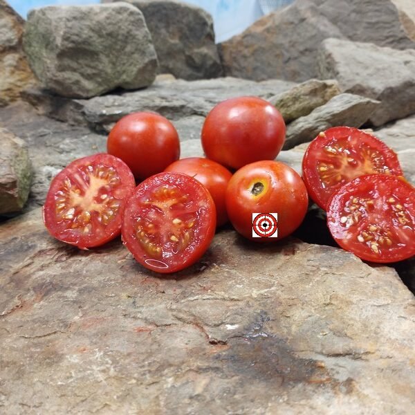 Pools Glas Tomato