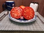 Pusta Kolox Tomato Heirloom Tomatoes