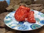 Pusta Kolox Tomato Seeds