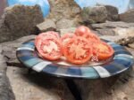 Ramellet San Lurens Tomato