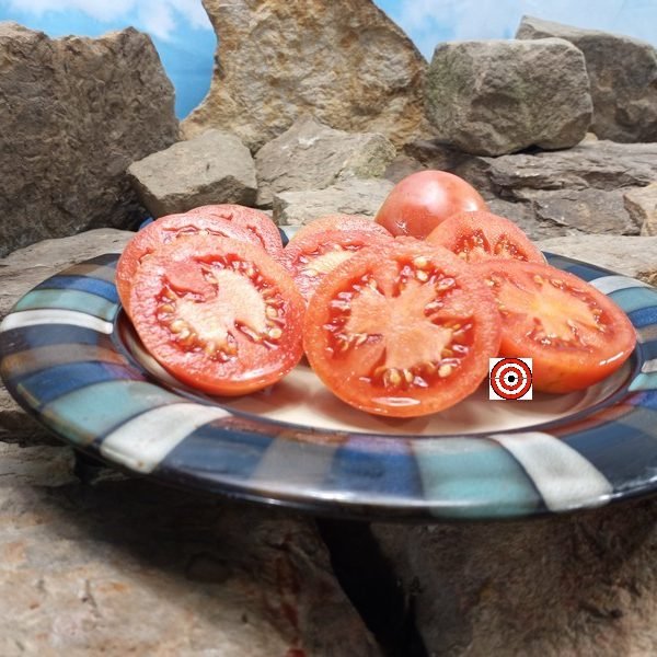 Ramellet San Lurens Tomato