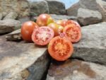 Ramellet San Lurens Tomato Seeds