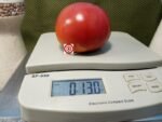 Rebel Yell Tomato - Image 3