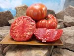 Red Giant From Vienna Tomato