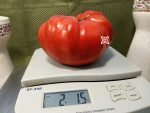 Red Giant from Vienna Tomato Slicing Tomato