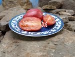 Rote Zora Tomato Slicing Tomato