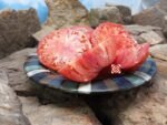 Royal Oak Red Tomato