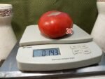 Royal Oak Red Tomato Sandwich Tomato