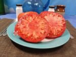Royal Oak Red Tomato Slicing Tomato