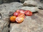 Sacharnaja Silva Malinovaja Tomato - Image 6