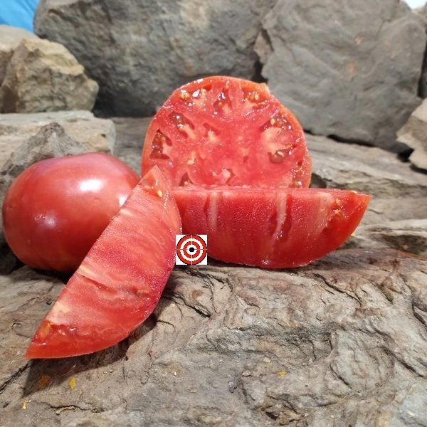 Sam's Big Italian Tomato