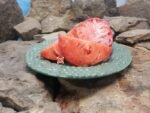 Serdste Buivola Tomato
