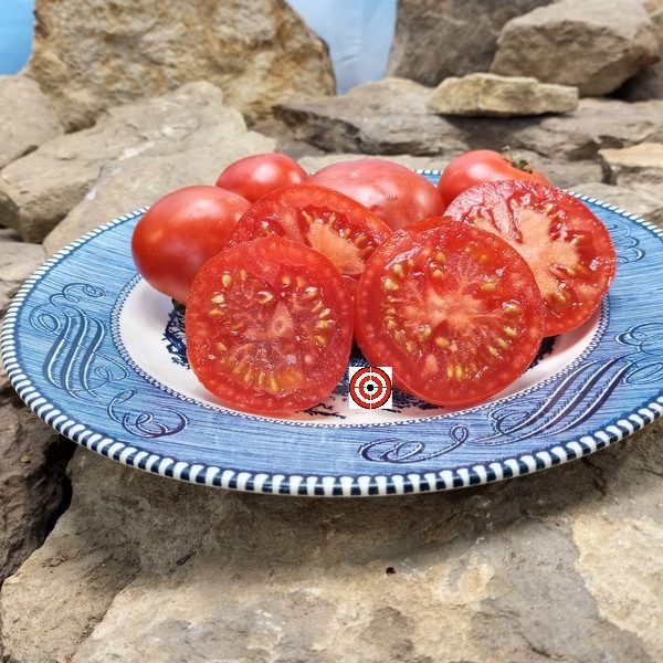 Silbertanne Tomato