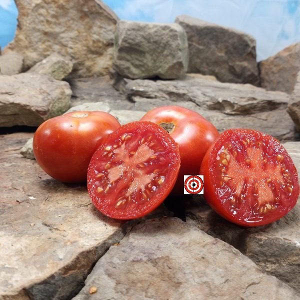 Smoky Mountain Tomato