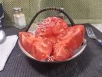 Snfla x Bky Pink Tomato