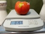 Sojourner South American Red Tomato Sandwich Tomatoes
